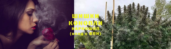 тгк Няндома