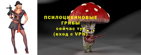 тгк Няндома