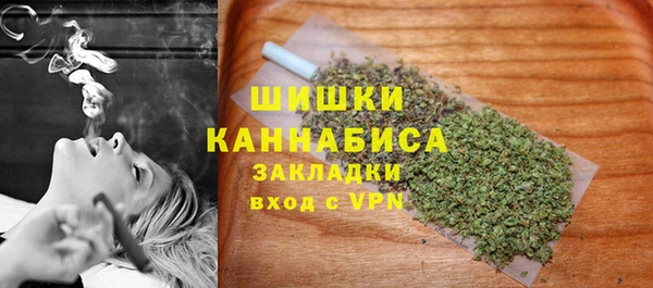 тгк Няндома