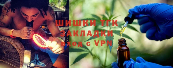 тгк Няндома