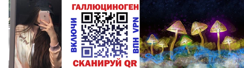 blacksprut ссылка  Александровск  Галлюциногенные грибы MAGIC MUSHROOMS 